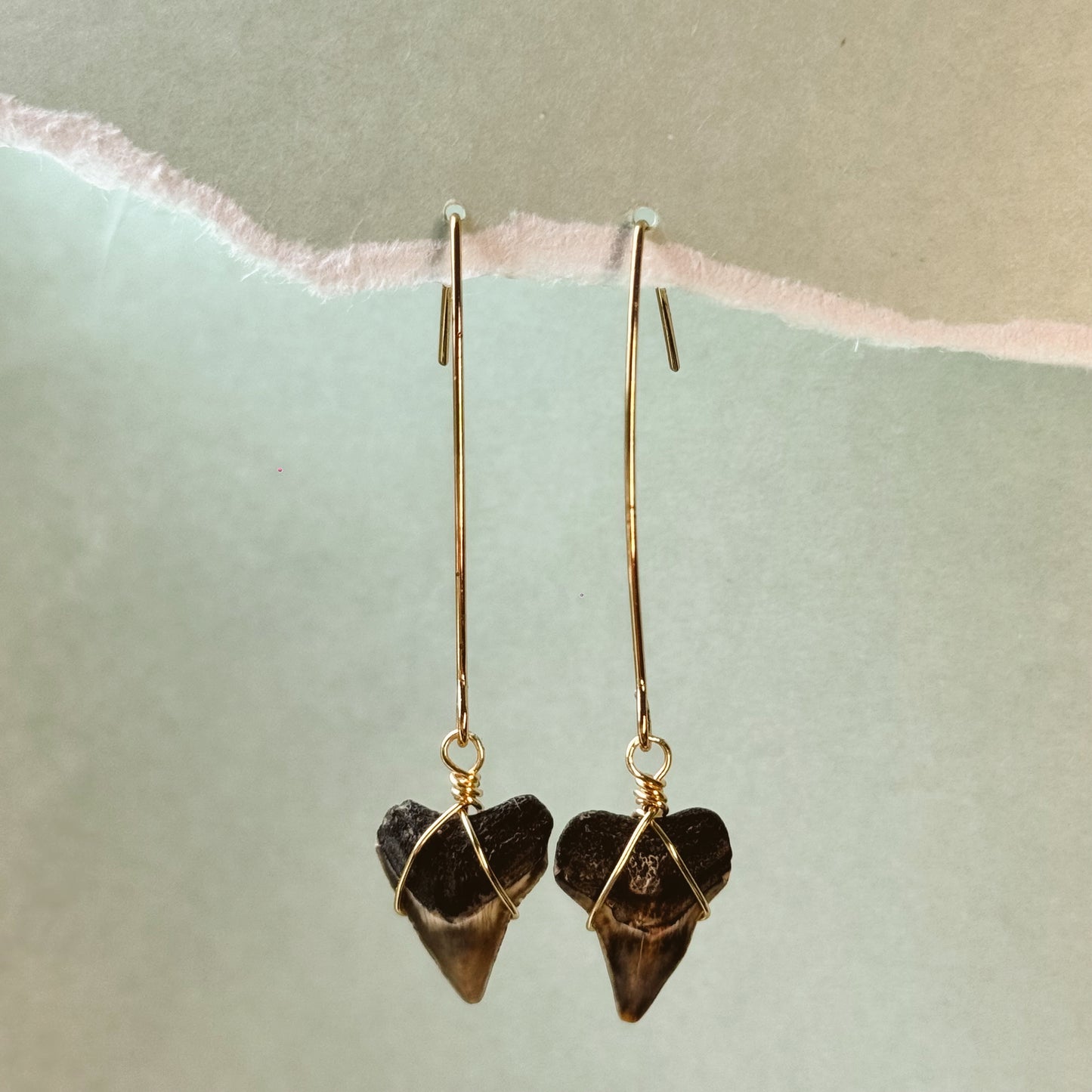 bull shark hanger earrings