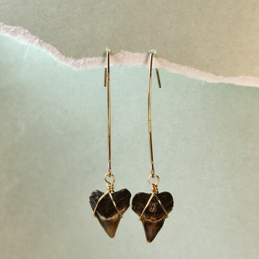 bull shark hanger earrings