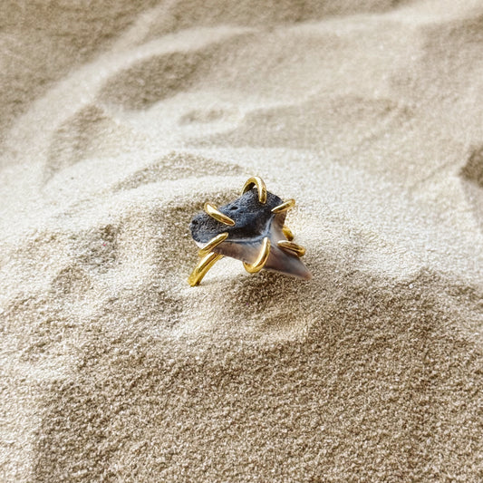 adjustable bull shark ring