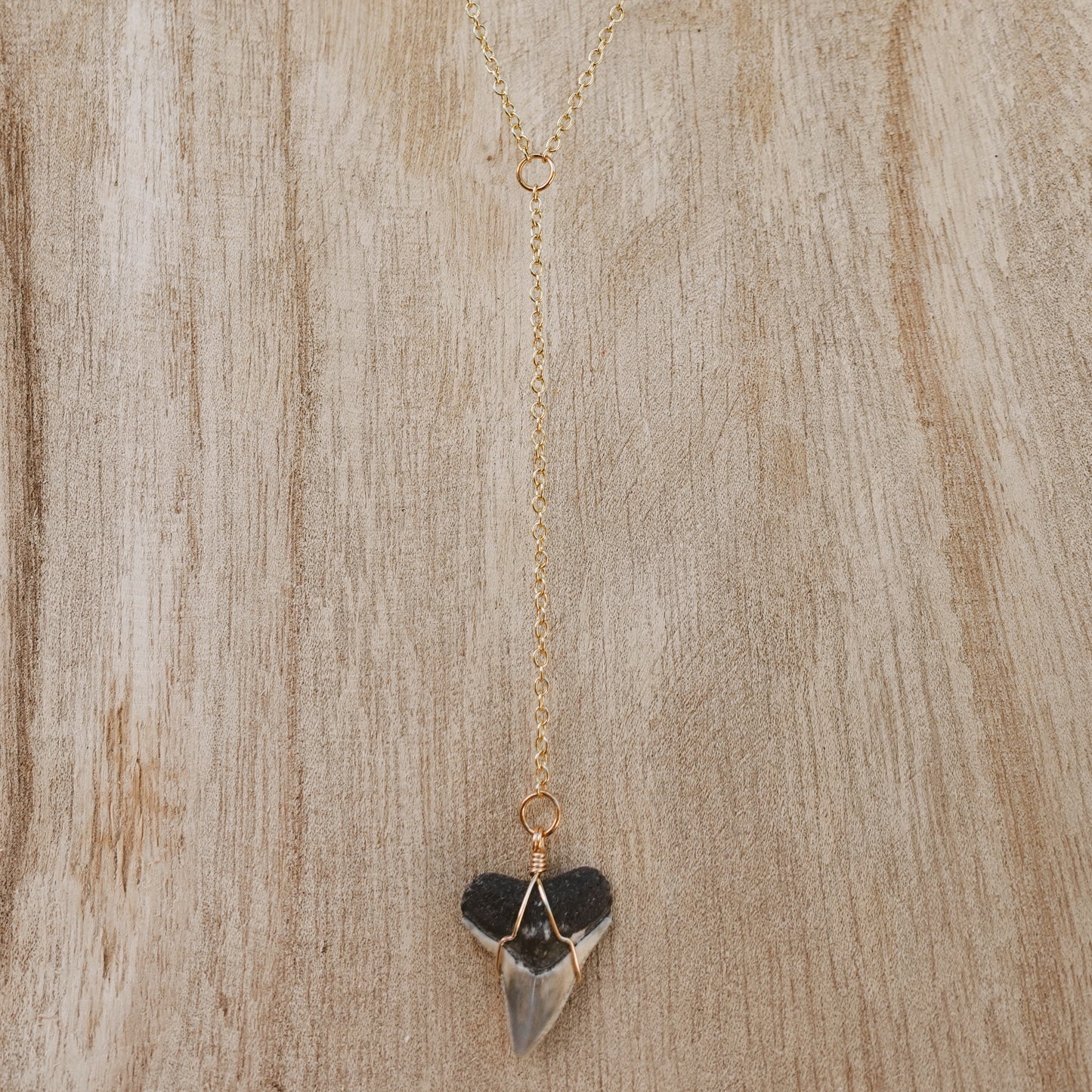 bull shark drop necklace
