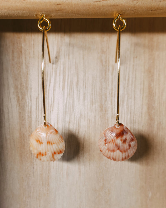 baby seashell earrings