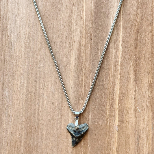 men’s fossil bull necklace