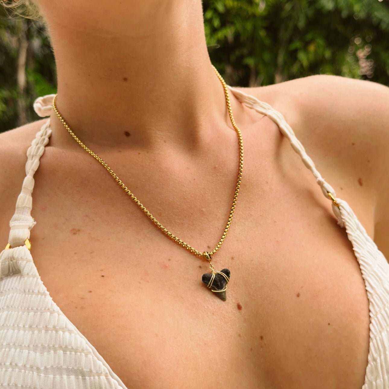 mariner necklace - bull shark tooth