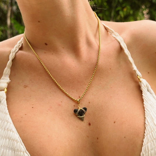 mariner necklace - bull shark tooth
