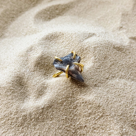 adjustable bull shark ring