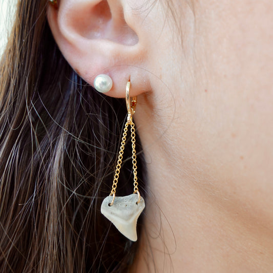 white bull shark hanger earrings