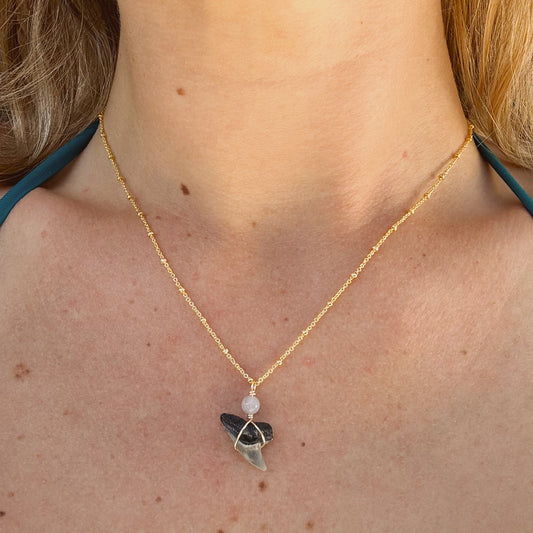 thresher shark satellite necklace