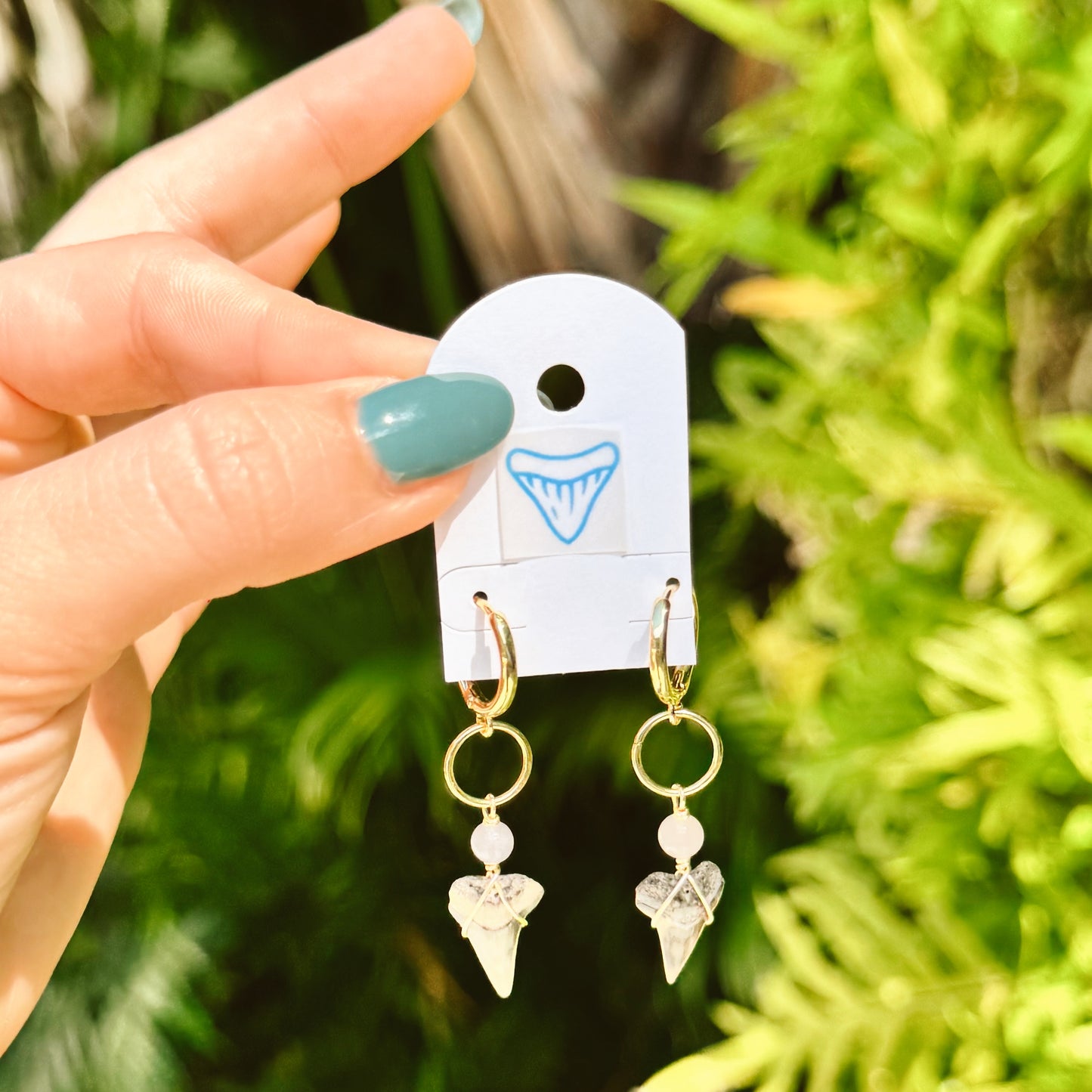 lapis and bull shark huggies