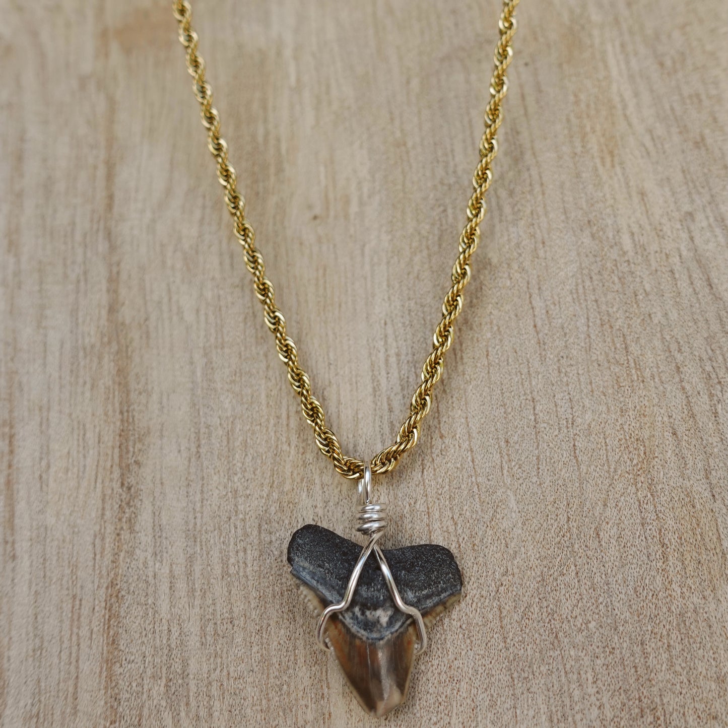men’s 2 tone bullshark necklace