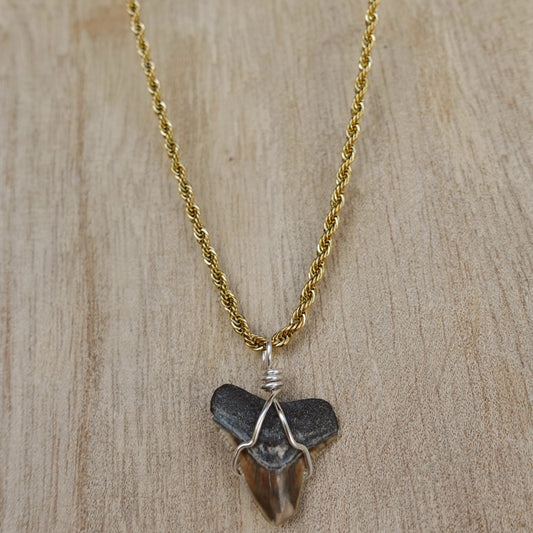 men’s 2 tone bullshark necklace