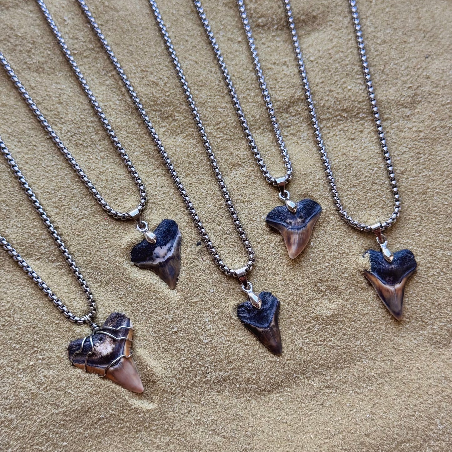 men’s bullshark necklace 18” box chain