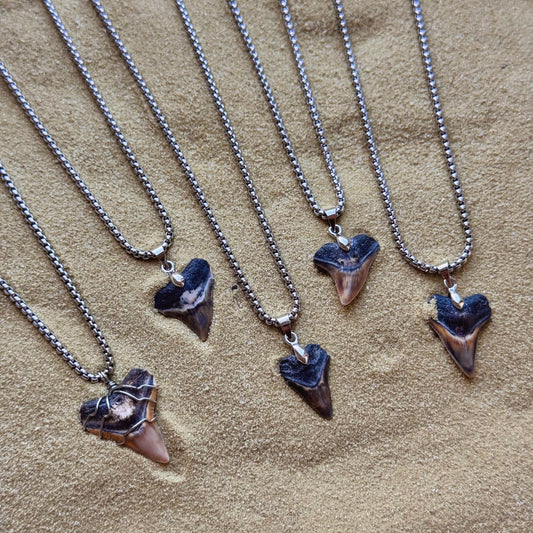 men’s bullshark necklace 18” box chain
