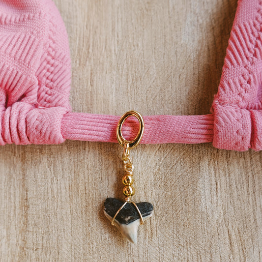 bull shark bikini charm