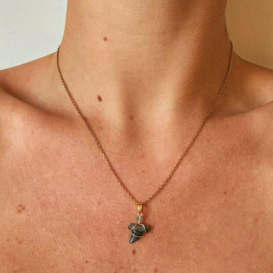 apex necklace - fossil thresher