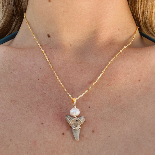 lower bull wave tooth necklace