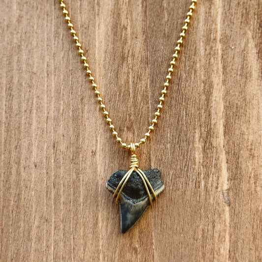 aurelia necklace - fossil bull