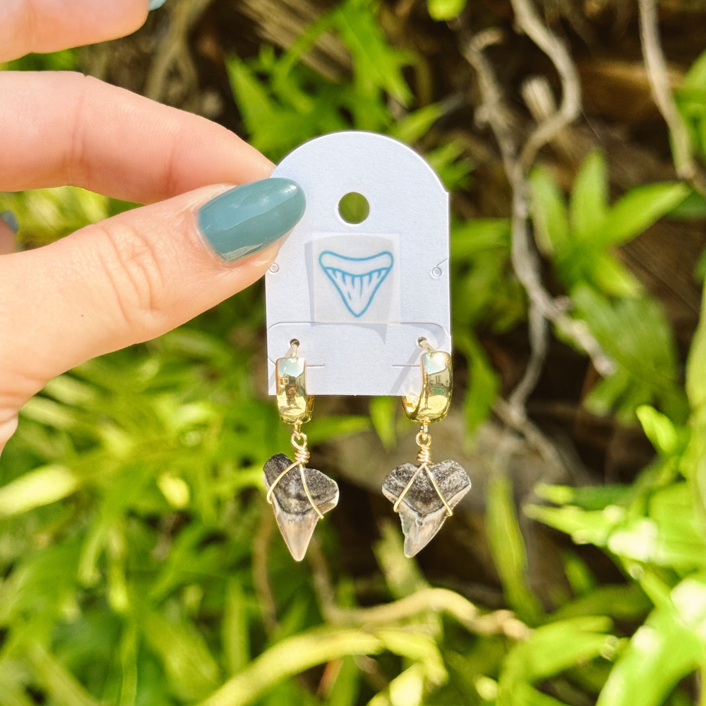 chunky bull shark hoops