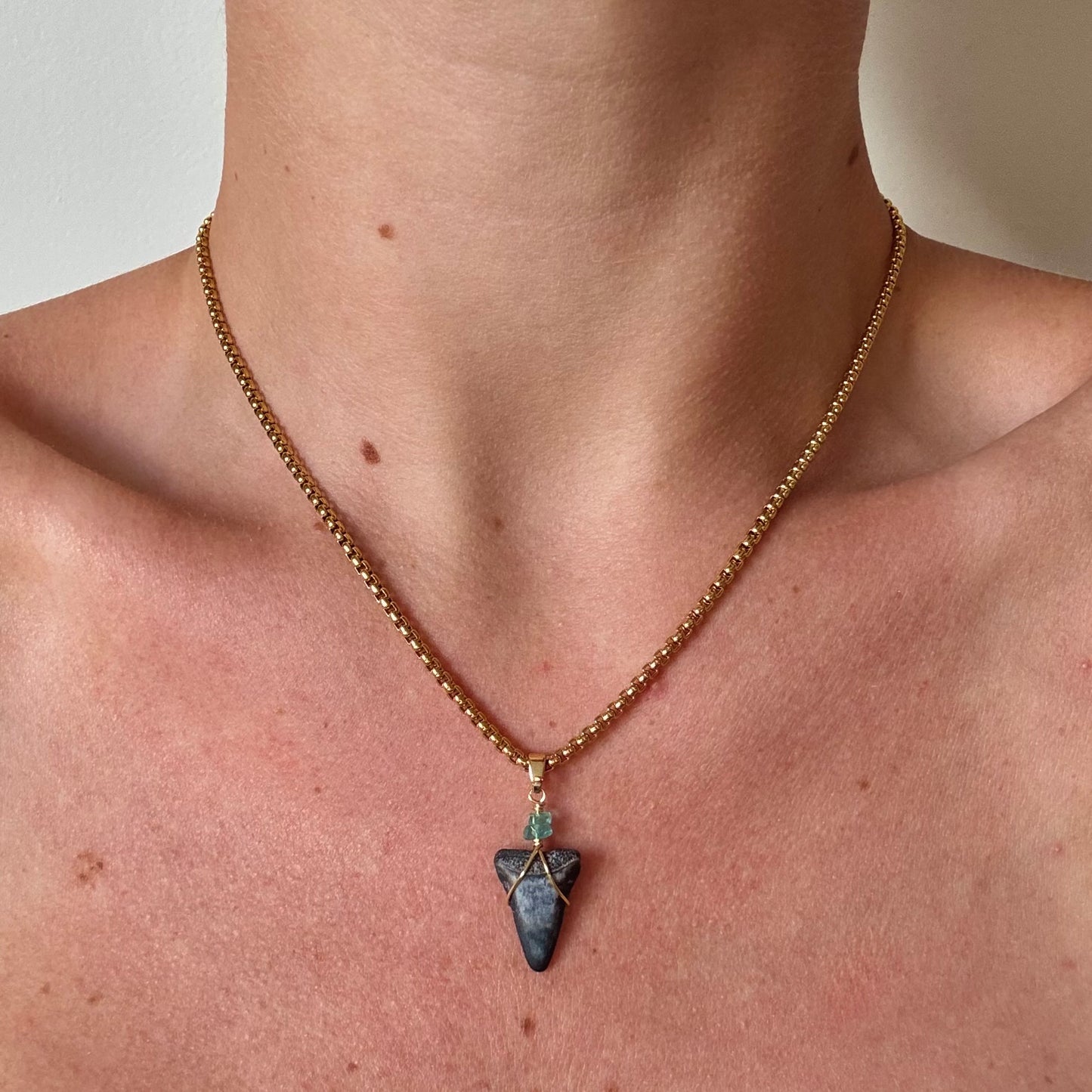 mariner necklace - fossil great white