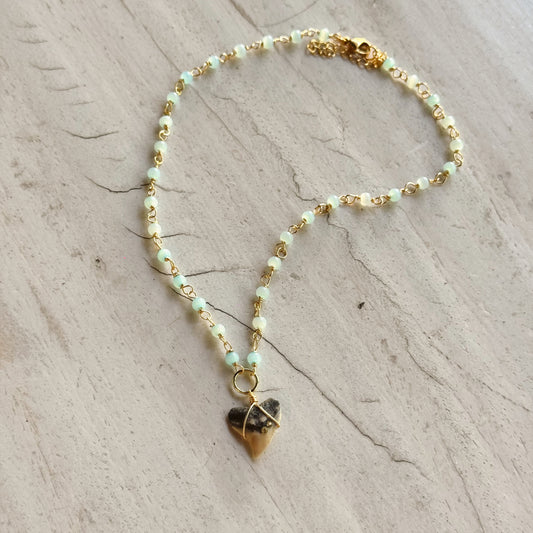 turks necklace - bullshark tooth